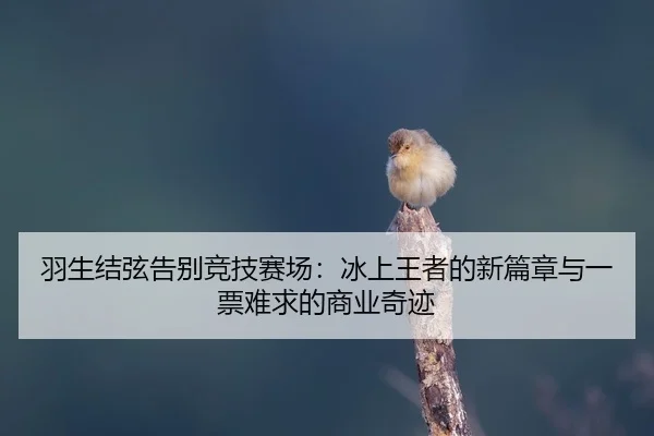 羽生结弦告别竞技赛场：冰上王者的新篇章与一票难求的商业奇迹