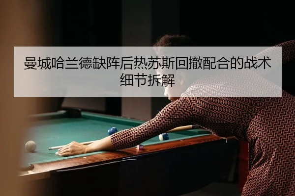 man-cheng-ha-lan-de-que-zhen-hou-re-su-si-hui-che-pei-he-de-zhan-shu-xi-jie-chai-jie-2-601.jpg